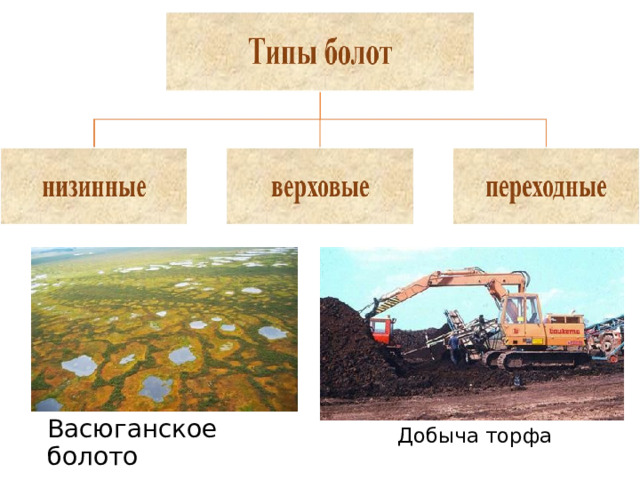 Васюганское болото Добыча торфа 