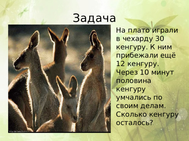 Задача На плато играли в чехарду 30 кенгуру. К ним прибежали ещё 12 кенгуру. Через 10 минут половина кенгуру умчались по своим делам. Сколько кенгуру осталось? 