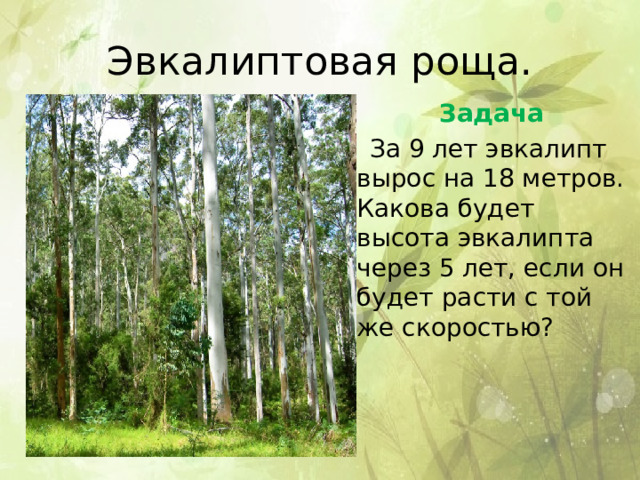 Эвкалиптовая роща. Задача За 9 лет эвкалипт вырос на 18 метров. Какова будет высота эвкалипта через 5 лет, если он будет расти с той же скоростью? 