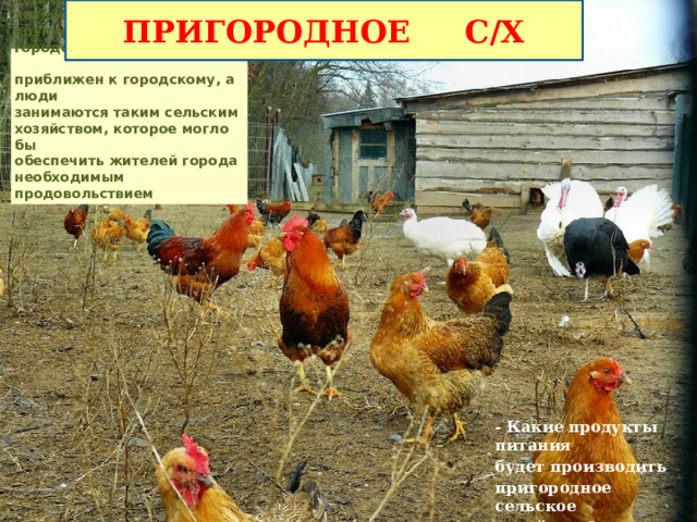 ПРИГОРОДНОЕ С/Х Зональная картина сельского  хозяйства нарушается около крупных  городов. Здесь образ жизни  приближен к городскому, а люди  занимаются таким сельским  хозяйством, которое могло бы  обеспечить жителей города  необходимым продовольствием - Какие продукты питания будет производить пригородное сельское хозяйство? 