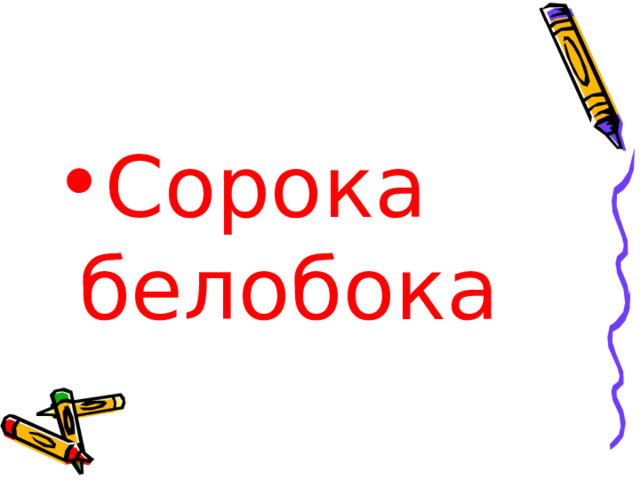 Сорока белобока 