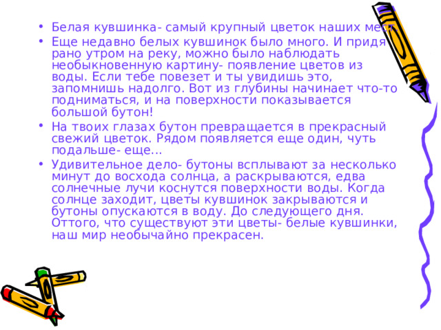 Белая кувшинка- самый крупный цветок наших мест. Еще недавно белых кувшинок было много. И придя рано утром на реку, можно было наблюдать необыкновенную картину- появление цветов из воды. Если тебе повезет и ты увидишь это, запомнишь надолго. Вот из глубины начинает что-то подниматься, и на поверхности показывается большой бутон! На твоих глазах бутон превращается в прекрасный свежий цветок. Рядом появляется еще один, чуть подальше- еще...   Удивительное дело- бутоны всплывают за несколько минут до восхода солнца, а раскрываются, едва солнечные лучи коснутся поверхности воды. Когда солнце заходит, цветы кувшинок закрываются и бутоны опускаются в воду. До следующего дня. Оттого, что существуют эти цветы- белые кувшинки, наш мир необычайно прекрасен. 