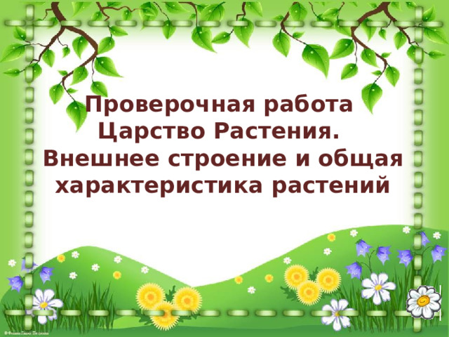 Проверочная работа Царство Растения. Внешнее строение и общая характеристика растений 