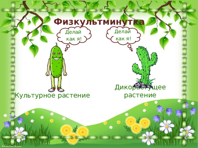 Физкультминутка Делай как я! Делай как я! Дикорастущее растение Культурное растение 