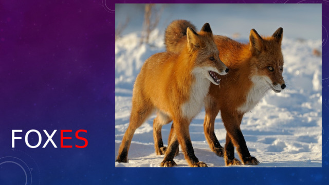  fox es 