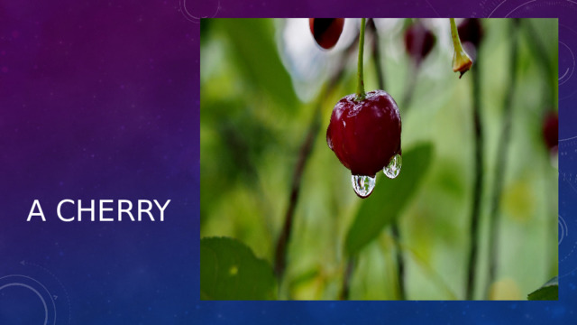  A cherry 