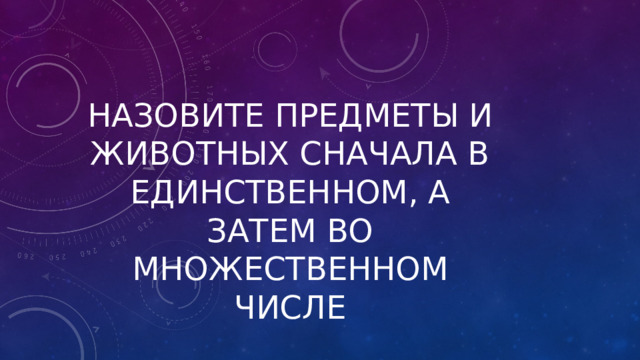   Назовите предметы и животных сначала в единственном, а затем во множественном числе 