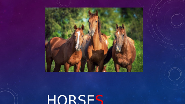  hors e s 