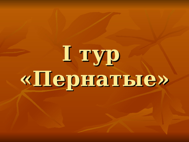I тур  «Пернатые» 