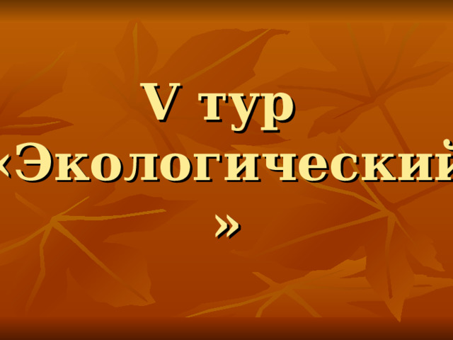 V тур  «Экологический» 