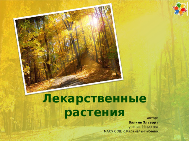 Лекарственные растения Автор: Валиев Эльварт ученик 3б класса МАОУ СОШ с.Карамалы-Губеево 