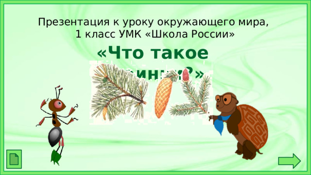 Презентация к уроку окружающего мира,  1 класс УМК «Школа России» «Что такое хвоинки?» 