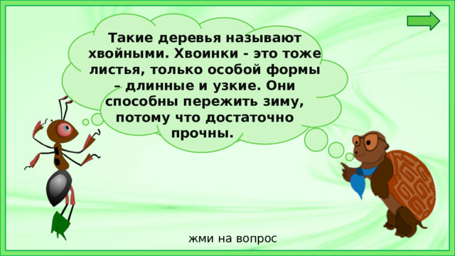 Такие деревья называют хвойными. Хвоинки - это тоже листья, только особой формы – длинные и узкие. Они способны пережить зиму, потому что достаточно прочны. Ребята, а вы знаете , как называют такие деревья?  жми на вопрос 