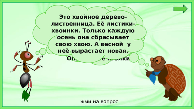 Это хвойное дерево-лиственница. Её листики- хвоинки. Только каждую осень она сбрасывает свою хвою. А весной у неё вырастает новая. Ребята! Помогите мне отгадать загадку.Есть у родственницы ёлки. Неколючие иголки. Но , в отличие от ёлки, Опадают те иголки.  жми на вопрос 