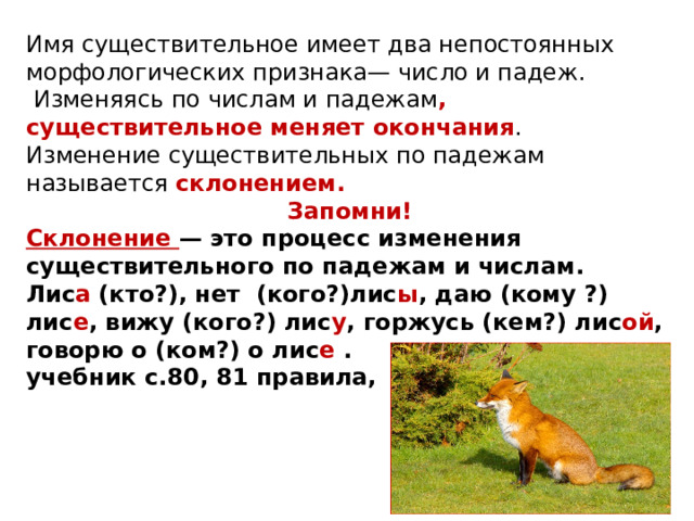 Имя существительное имеет два непостоянных морфологических признака— число и падеж.  Изменяясь по числам и падежам , существительное меняет окончания .  Изменение существительных по падежам называется склонением.  Запомни! Склонение — это процесс изменения существительного по падежам и числам. Лис а (кто?), нет (кого?)лис ы , даю (кому ?) лис е , вижу (кого?) лис у , горжусь (кем?) лис ой , говорю о (ком?) о лис е . учебник с.80, 81 правила, №137 