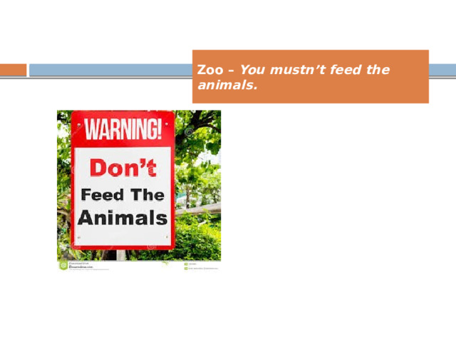 Zoo – You mustn’t feed the animals. 