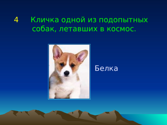4    Кличка одной из подопытных собак, летавших в космос. Белка 