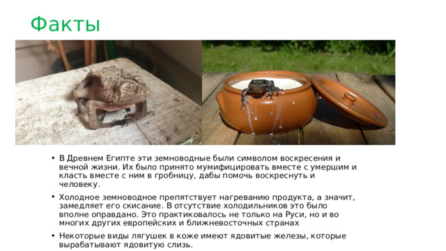 Факты В Древнем Египте эти земноводные были символом воскресения и вечной жизни. Их было принято мумифицировать вместе с умершим и класть вместе с ним в гробницу, дабы помочь воскреснуть и человеку. Холодное земноводное препятствует нагреванию продукта, а значит, замедляет его скисание. В отсутствие холодильников это было вполне оправдано. Это практиковалось не только на Руси, но и во многих других европейских и ближневосточных странах Некоторые виды лягушек в коже имеют ядовитые железы, которые вырабатывают ядовитую слизь. 