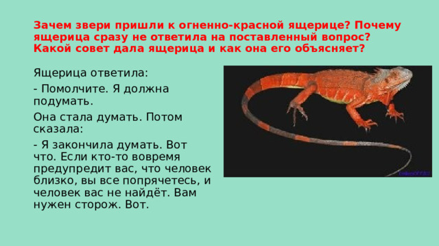 Зачем звери пришли к огненно-красной ящерице? Почему ящерица сразу не ответила на поставленный вопрос? Какой совет дала ящерица и как она его объясняет? Ящерица ответила: - Помолчите. Я должна подумать. Она стала думать. Потом сказала: - Я закончила думать. Вот что. Если кто-то вовремя предупредит вас, что человек близко, вы все попрячетесь, и человек вас не найдёт. Вам нужен сторож. Вот. 