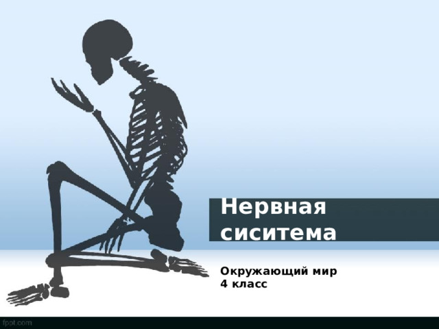 Нервная сиситема Окружающий мир 4 класс 