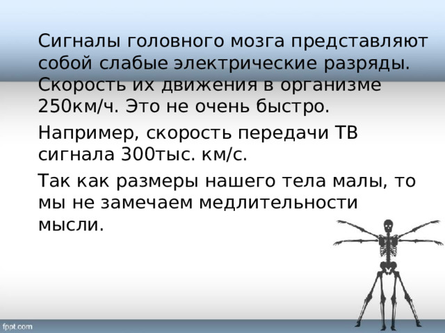 Сигналы головного мозга представляют собой слабые электрические разряды. Скорость их движения в организме 250км/ч. Это не очень быстро. Например, скорость передачи ТВ сигнала 300тыс. км/с. Так как размеры нашего тела малы, то мы не замечаем медлительности мысли. 