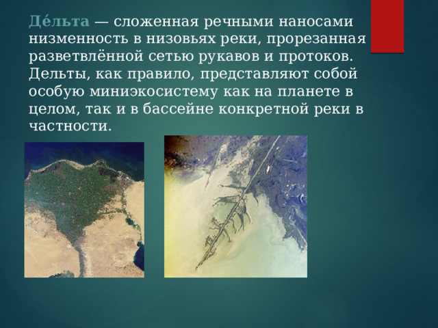 Де́льта   — сложенная речными наносами низменность в низовьях реки, прорезанная разветвлённой сетью рукавов и протоков. Дельты, как правило, представляют собой особую миниэкосистему как на планете в целом, так и в бассейне конкретной реки в частности . 
