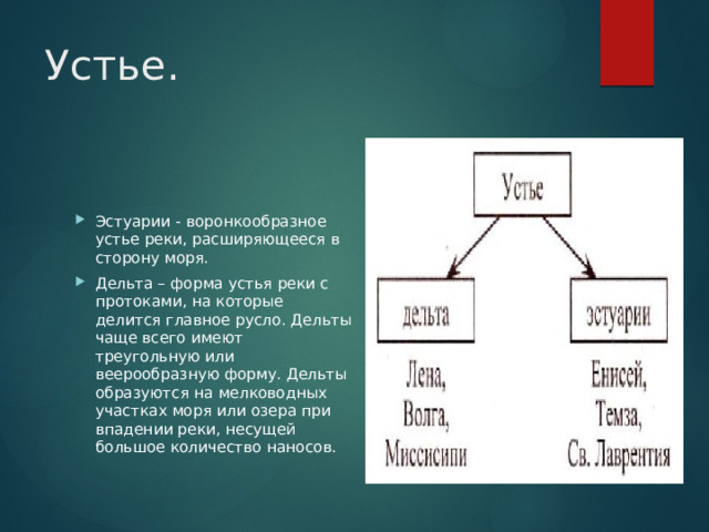 Устье. Эстуарии - воронкообразное устье реки, расширяющееся в сторону моря. Дельта – форма устья реки с протоками, на которые делится главное русло. Дельты чаще всего имеют треугольную или веерообразную форму. Дельты образуются на мелководных участках моря или озера при впадении реки, несущей большое количество наносов. 