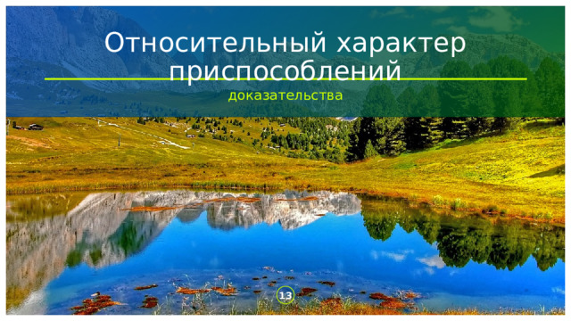 Относительный характер приспособлений доказательства   