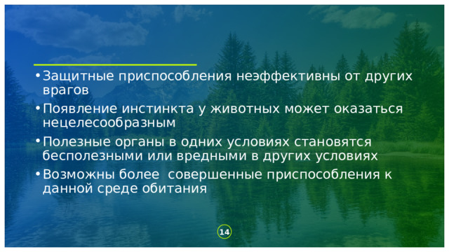 Защитные приспособления неэффективны от других врагов Появление инстинкта у животных может оказаться нецелесообразным Полезные органы в одних условиях становятся бесполезными или вредными в других условиях Возможны более совершенные приспособления к данной среде обитания   