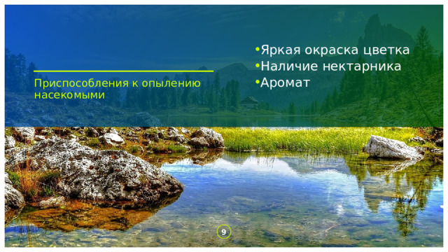 Яркая окраска цветка Наличие нектарника Аромат Приспособления к опылению насекомыми 1 