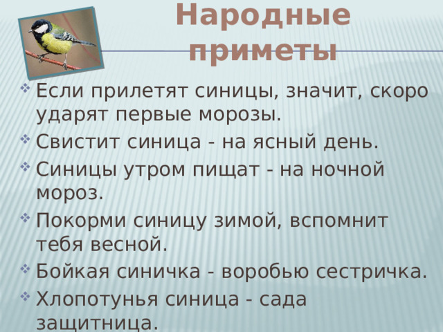 Народные приметы Если прилетят синицы, значит, скоро ударят первые морозы. Свистит синица - на ясный день. Синицы утром пищат - на ночной мороз. Покорми синицу зимой, вспомнит тебя весной. Бойкая синичка - воробью сестричка. Хлопотунья синица - сада защитница . 