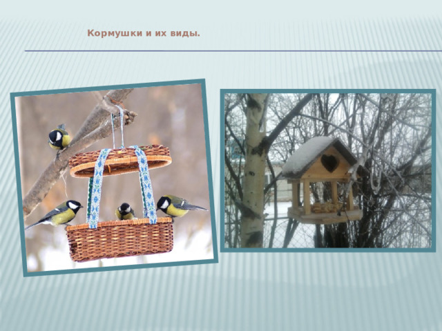  Кормушки и их виды.   