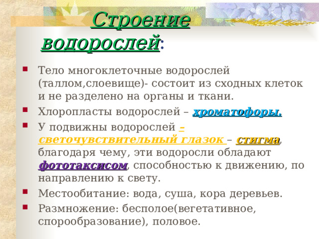  Строение водорослей : Тело многоклеточные водорослей (таллом,слоевище)- состоит из сходных клеток и не разделено на органы и ткани. Хлоропласты водорослей – хроматофоры. У подвижны водорослей – светочувствительный глазок – стигма , благодаря чему, эти водоросли обладают фототаксисом , способностью к движению, по направлению к свету. Местообитание: вода, суша, кора деревьев. Размножение: бесполое(вегетативное, спорообразование), половое. 