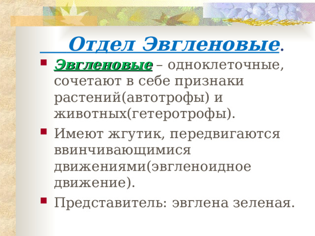  Отдел Эвгленовые . Эвгленовые – одноклеточные, сочетают в себе признаки растений(автотрофы) и животных(гетеротрофы). Имеют жгутик, передвигаются ввинчивающимися движениями(эвгленоидное движение). Представитель: эвглена зеленая. 
