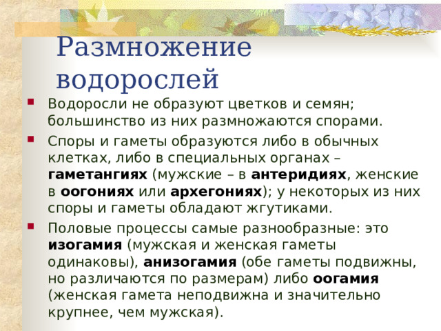 Размножение водорослей  Водоросли не образуют цветков и семян; большинство из них размножаются спорами. Споры и гаметы образуются либо в обычных клетках, либо в специальных органах – гаметангиях (мужские – в антеридиях , женские в оогониях или архегониях ); у некоторых из них споры и гаметы обладают жгутиками. Половые процессы самые разнообразные: это изогамия (мужская и женская гаметы одинаковы), анизогамия (обе гаметы подвижны, но различаются по размерам) либо оогамия (женская гамета неподвижна и значительно крупнее, чем мужская). 