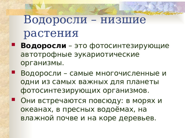 Водоросли – низшие растения Водоросли – это фотосинтезирующие автотрофные эукариотические организмы. Водоросли – самые многочисленные и одни из самых важных для планеты фотосинтезирующих организмов. Они встречаются повсюду: в морях и океанах, в пресных водоёмах, на влажной почве и на коре деревьев.  