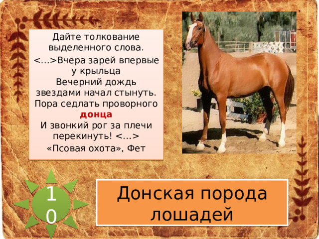 Дайте толкование выделенного слова. Вчера зарей впервые у крыльца  Вечерний дождь звездами начал стынуть.  Пора седлать проворного донца  И звонкий рог за плечи перекинуть!  «Псовая охота», Фет 10 Донская порода лошадей 
