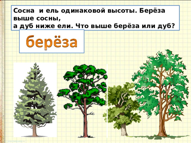Сосна и ель одинаковой высоты. Берёза выше сосны, а дуб ниже ели. Что выше берёза или дуб? 