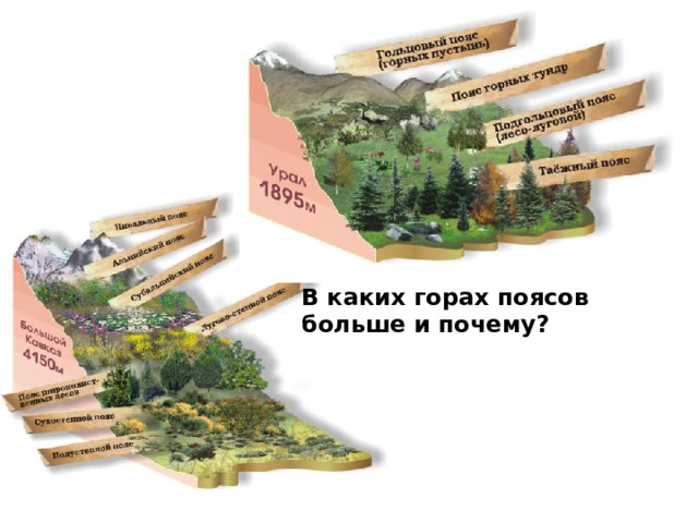 В каких горах поясов больше и почему?  