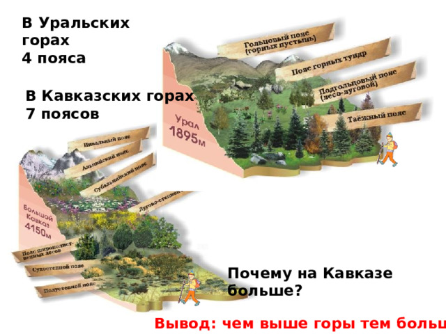 В Уральских горах 4 пояса   В Кавказских горах 7 поясов  Почему на Кавказе больше? Вывод: чем выше горы тем больше поясов  