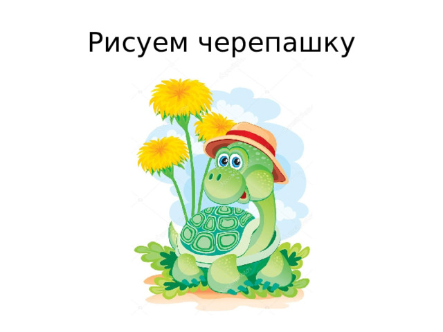 Рисуем черепашку 