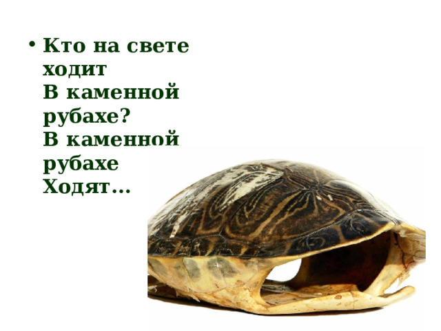 Кто на свете ходит   В каменной рубахе?   В каменной рубахе   Ходят... 