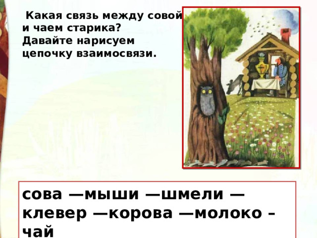   Какая связь между совой и чаем старика? Давайте нарисуем цепочку взаимосвязи. сова —мыши —шмели —клевер —корова —молоко – чай 