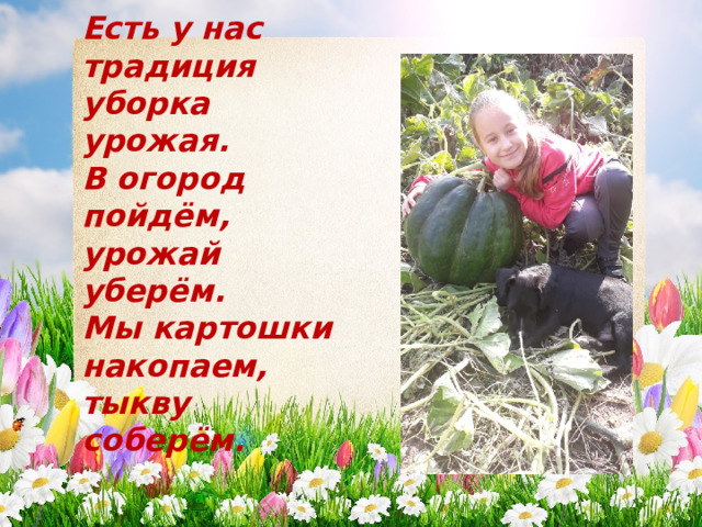 Есть у нас традиция уборка урожая. В огород пойдём, урожай уберём. Мы картошки накопаем, тыкву соберём. 