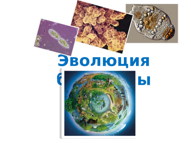 Эволюция биосферы 