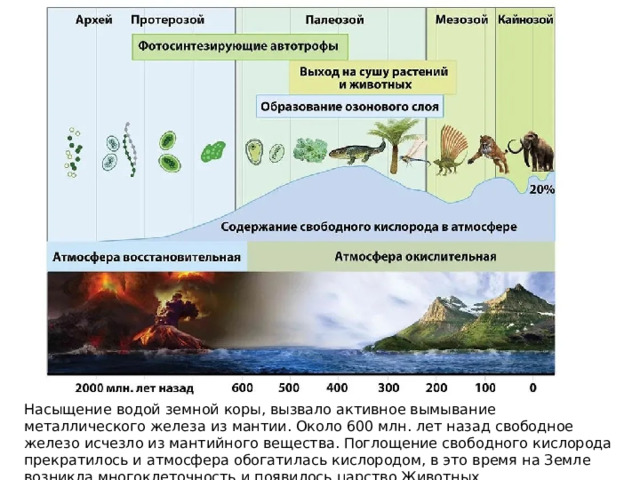 Насыщение водой земной коры, вызвало активное вымывание металлического железа из мантии. Около 600 млн. лет назад свободное железо исчезло из мантийного вещества. Поглощение свободного кислорода прекратилось и атмосфера обогатилась кислородом, в это время на Земле возникла многоклеточность и появилось царство Животных 