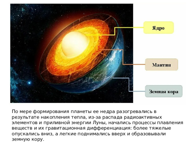 По мере формирования планеты ее недра разогревались в результате накопления тепла, из-за распада радиоактивных элементов и приливной энергии Луны, начались процессы плавления веществ и их гравитационная дифференциация: более тяжелые опускались вниз, а легкие поднимались вверх и образовывали земную кору. 