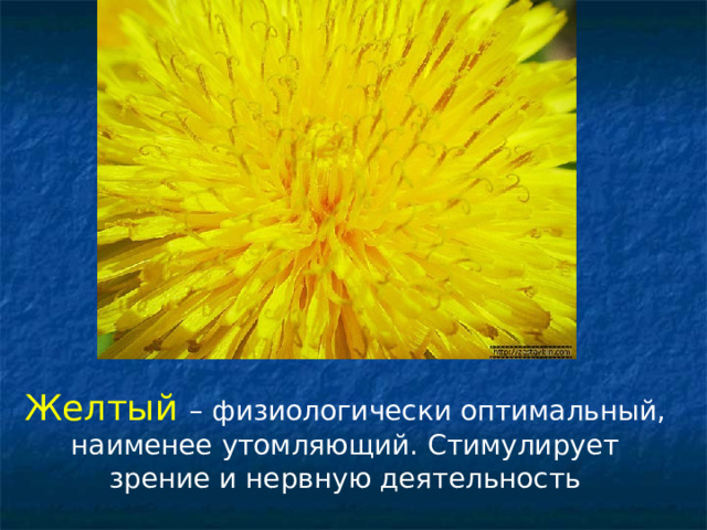 Желтый – физиологически оптимальный, наименее утомляющий. Стимулирует зрение и нервную деятельность 