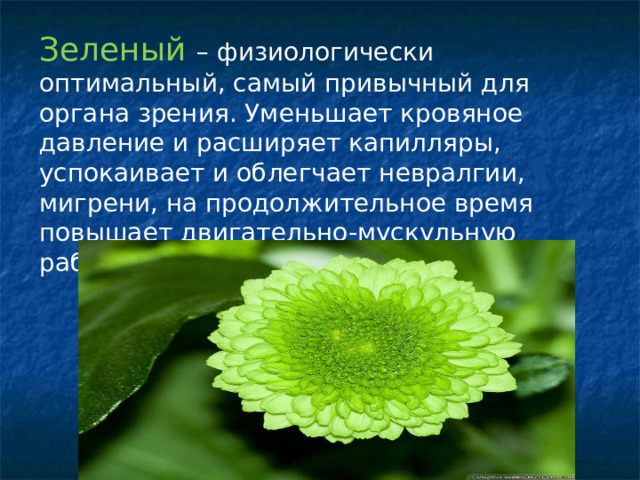 Зеленый – физиологически оптимальный, самый привычный для органа зрения. Уменьшает кровяное давление и расширяет капилляры, успокаивает и облегчает невралгии, мигрени, на продолжительное время повышает двигательно-мускульную работоспособность. 