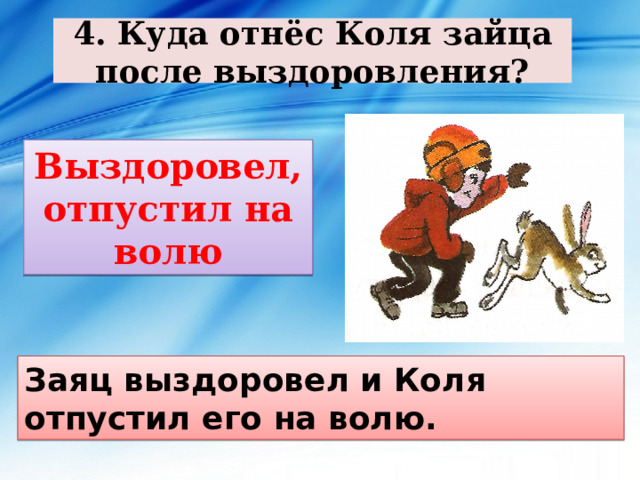 4. Куда отнёс Коля зайца после выздоровления? Выздоровел, отпустил на волю Заяц выздоровел и Коля отпустил его на волю. 
